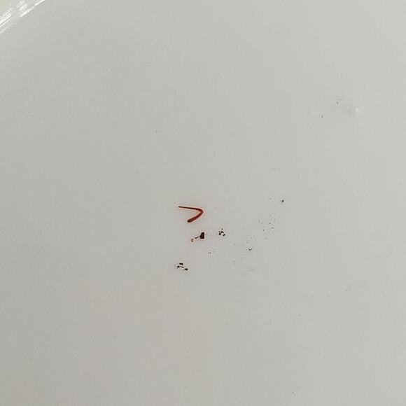 CT Carl Tielsch Altwasser Antique Roses Gilded Starburst Flourish Cake Plate - Picture 7 of 8